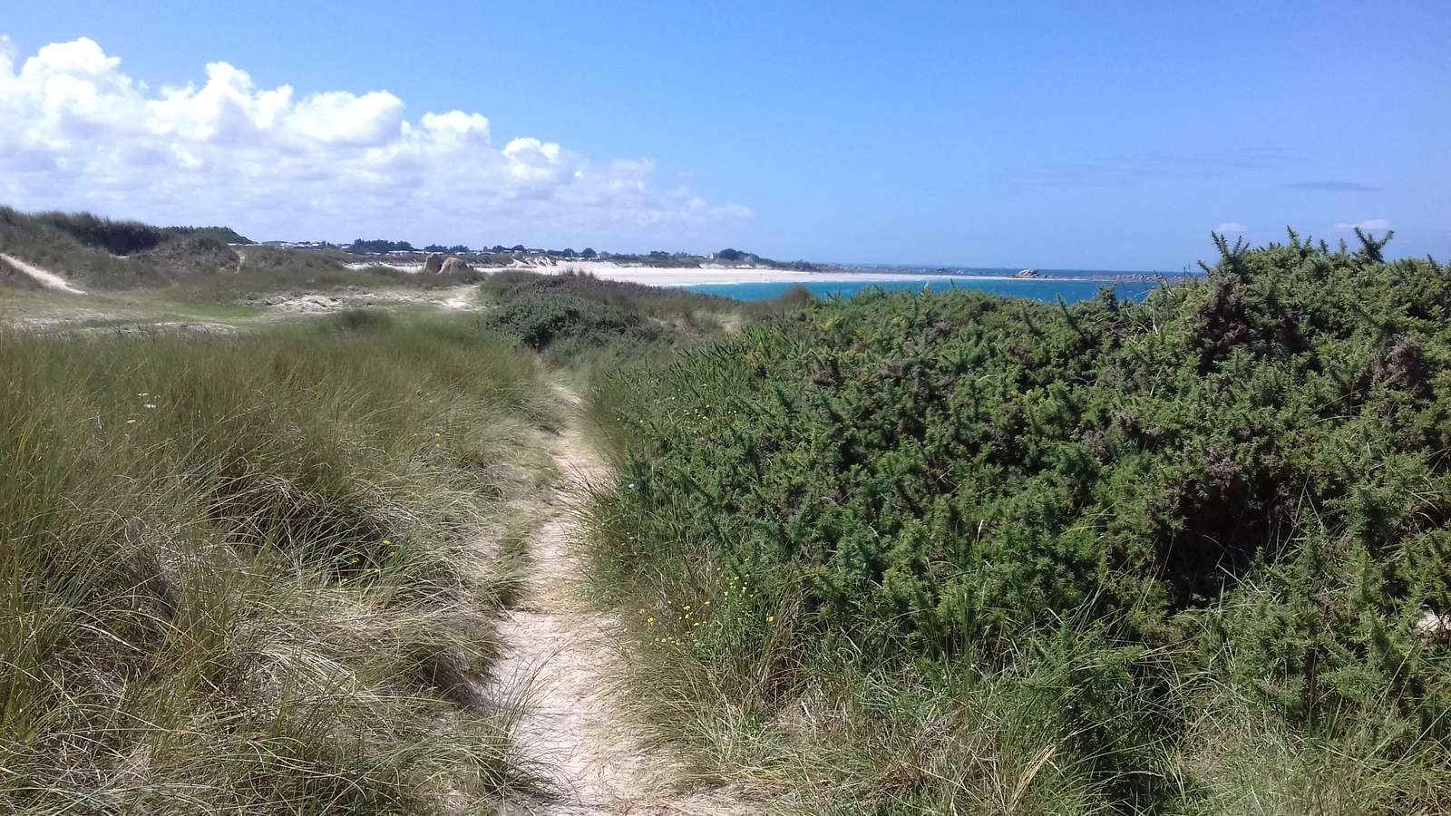sand-coast-hiking