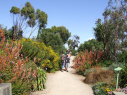 Roscoff Botanical Garden
